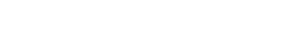 LT Schienentechnik